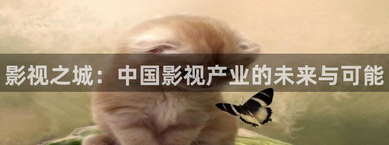 av金桔影院：影视之城：中国影视产业的未来与可能