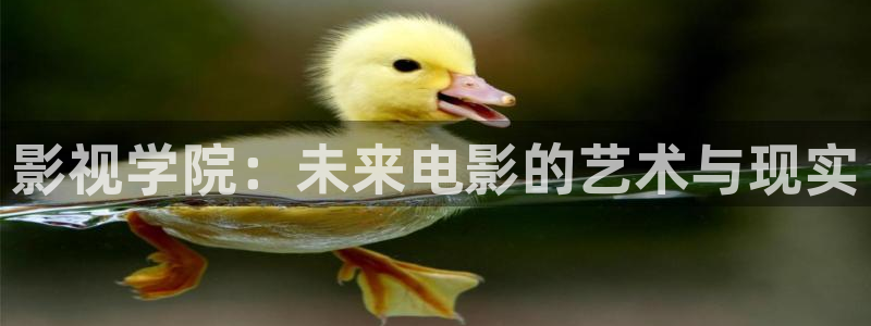 下载金桔影视：影视学院：未来电影的艺术与现实