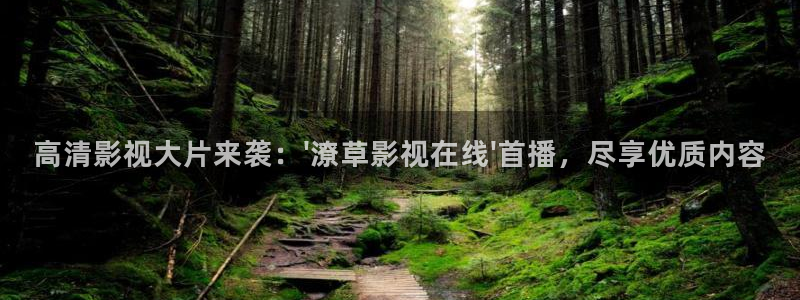金桔影视app下载：高清影视大片来袭：\'潦草影视在线\'首播，尽享优质内容