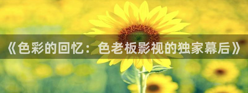 金桔电影：《色彩的回忆：色老板影视的独家幕后》