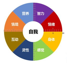 心理学与生活 用萨提亚模式做2018年总结——多媒体技术的推广与应用