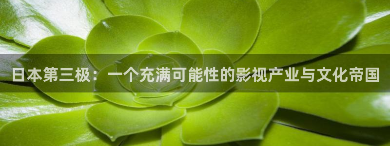 金桔影视app：日本第三极：一个充满可能性的影视产业与文化帝国