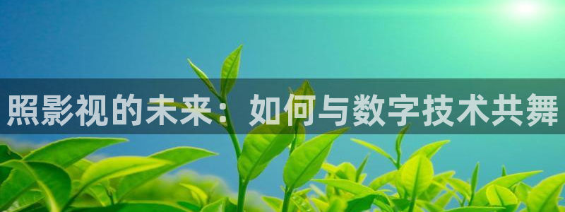 金桔视频：照影视的未来：如何与数字技术共舞