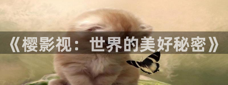 金桔影视app：《樱影视：世界的美好秘密》
