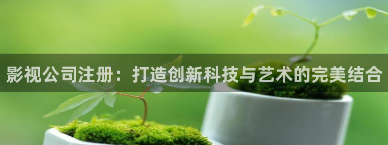 冰糖金桔的做法视频：影视公司注册：打造创新科技与艺术的完美结合
