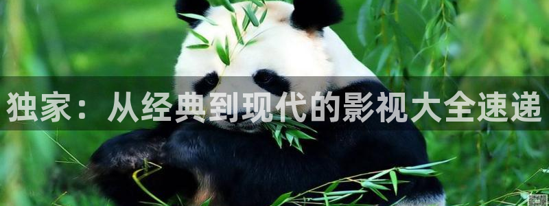 金桔视频大全：独家：从经典到现代的影视大全速递